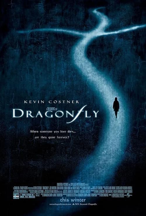 Dragonfly film posteri